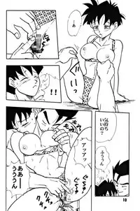(C51) [Chirigami Goya, Fusuma go Ten (Shoji Hariko)] ZZZ (DRAGON BALL)