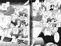 B-BOY Phoenix 13 Tenishoku Tokushū