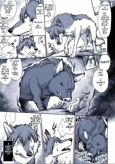 Aru Inu no Baai | A certain dog's situation