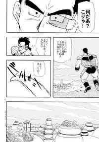 [Chirigami Goya, Fusuma Goten (Shoji Hariko, Kuri)] Wakayo (Dragon Ball GT)