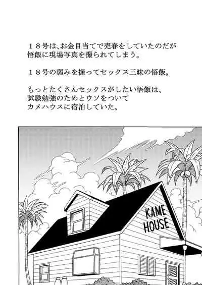 18's NTR pies on parade 3