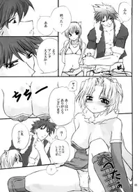 (C65) [Hi-PER PINCH (clover)] DAMEPotion (Ragnarok Online)