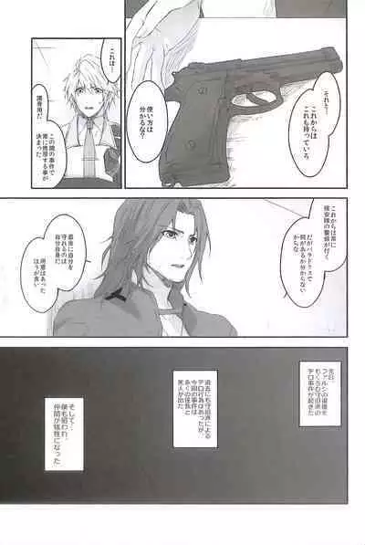 (C84) [CassiS (RIOKO)] HOPE (Final Fantasy XIII)