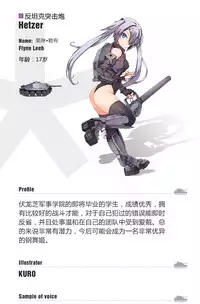 [a9622176] stalker tryst commander (panzer waltz) [chinese]