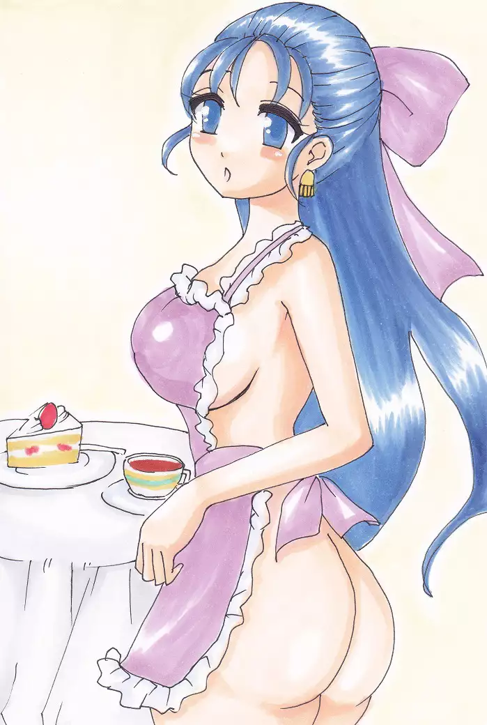 Dragon Quest V - Analog Illusts Vol.1