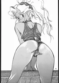 Kabocha Michi (Various)