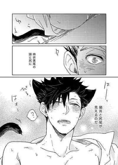 Hyaku Man Kai Aisareta Kuro Neko