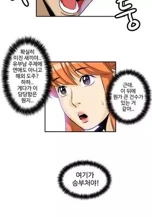 Chauffeur Service Ch.1-30.5