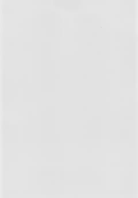 Futon SUPER GUTS SHINOBU