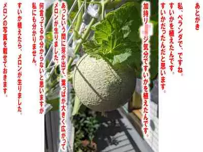 Nyotaika NTR Maso no Monogatari