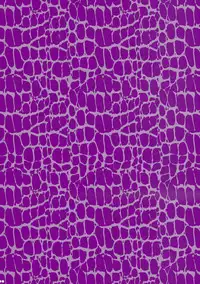 (Reitaisai 8) [Aimaimoko (Moko)] Prince Tenko wa Hatsujouki (Touhou Project)