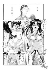 [Amayumi] Sakura Sakura