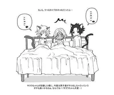 Nyan Nyan Sakura-chan