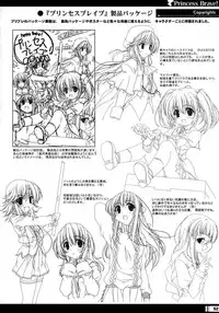 (C68) [StrayMoon (Miyama Zero)] Princess Brave! Jantaku no Kishi - Settei Gengashuu
