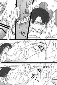 (SPARK10) [Shibakane-ya (Kyuu)] Falling dowN (Shingeki no Kyojin)