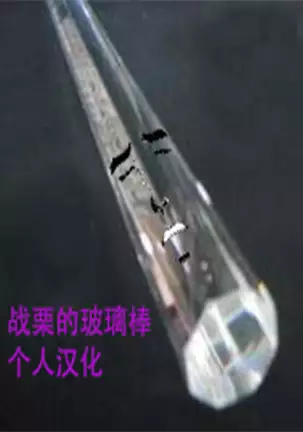 Tenkousei JK Elf -Houkago Choukyou Jugyou-