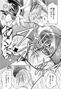 [Kikuichi Monji] W-C Water Closet