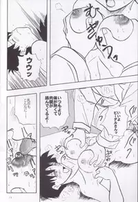 [Chirigami Goya, Fusuma go Ten (Shoji Hariko, Kuri)] Wakayo (Dragon Ball)