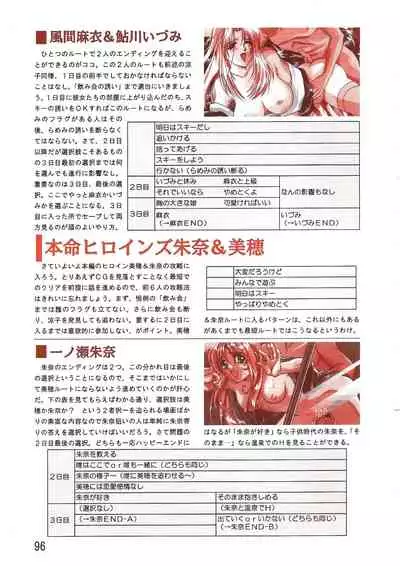 PC Bishoujo Software Strategy Book: Strategy King 2