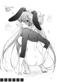 (SC23) [Ketsukaseya (Ryuu Mokunen)] Usada Test (Di Gi Charat)