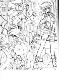 (C78) [Kamogawaya (Kamogawa Tanuki)] Punishment (Mahou Shoujo Lyrical Nanoha)