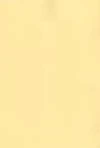 [Hamigaki Shoukai (Hamigaki Shinji)] WHITE & WHITE