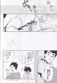 [Chirigami Goya, Fusuma go Ten (Shoji Hariko, Kuri)] Wakayo (Dragon Ball)