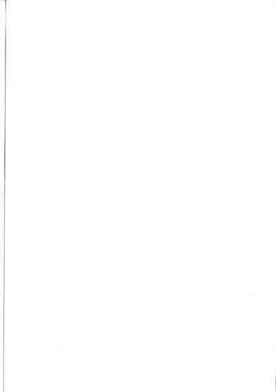 Alter-chan, Saimin Bounyuu Quest Shienchuu