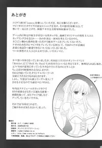 (C74) [SIMPLE HOUSE (Kafu)] Legato (Mabinogi)