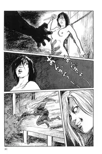 [Koike Kazuo, Kojima Goseki] Hanzou no Mon Vol.10