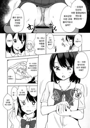 Yousei ga Iru Sekai | 요정이 있는 세계