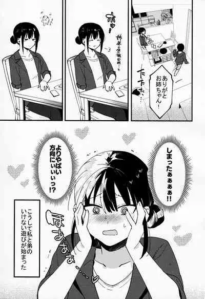 (C97) [nemuke? (Nise)] Otouto Asobi