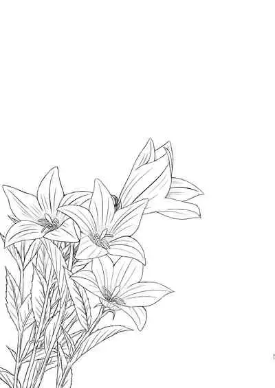 Hikari no Kimi no Saganaki Keikaku <Akashi>