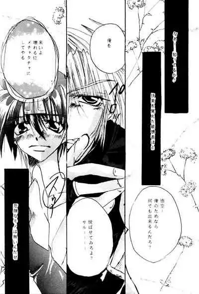 [RED DATA BOOK (Amano Ryuuki)] SHANGRILA (Saiyuki)