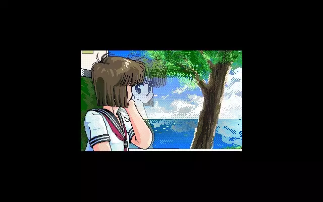 C.G. Gallery 8 Endeavour 9 Enterprise