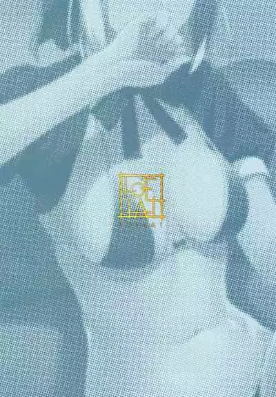 Chaldea Soap SSS-kyuu Gohoushi Maid