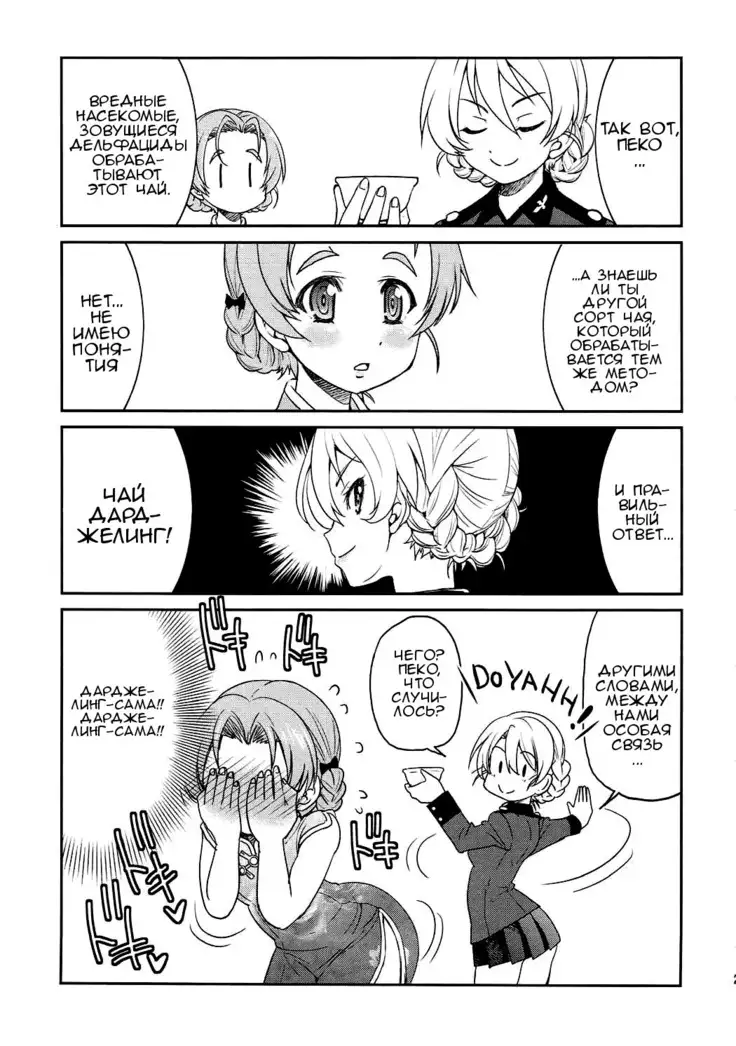 Darjeeling-sama no Ponytail