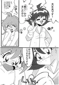 [Ginmomodou (Mita Satomi)] Slayers Adult 8 (Slayers)