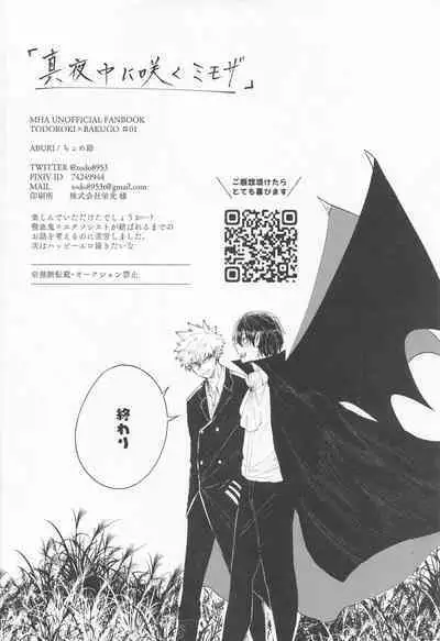 Mayonaka ni Saku Mimosa - mimosa to bloom at night