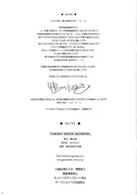 (COMIC1☆9) [Kamogawaya (Kamogawa Tanuki)] CHERRY SISTER BLOSSOM (Saki)