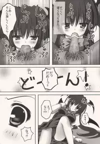 (C77) [Kinokonomi (kino, konomi)] coapachu (Touhou Project)