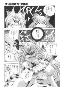 [Hariken Hanna] Totsuzen! Cat tale EX