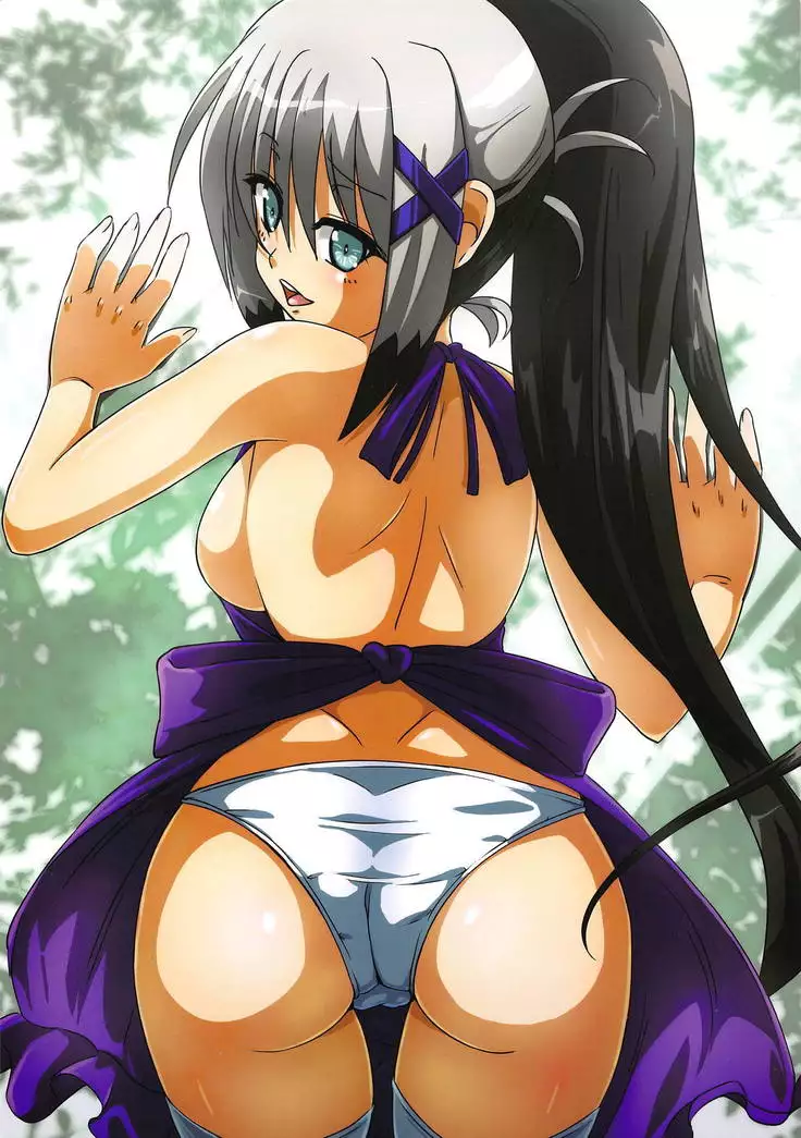 Material REPRODUCTION