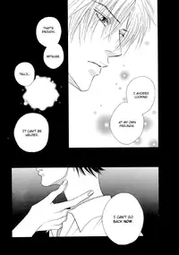 Fevered Glance_Netsu Shisen