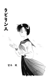 High School Hakusho (Sailor Moon anthology)