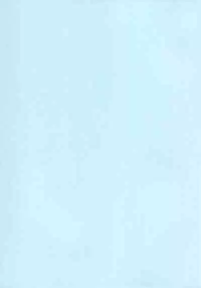 (C102) [Kazumiya (Arisu Kazumi)] Nonomi Massakari (Blue Archive)