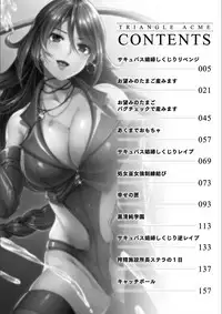 [SHUKO] Triangle Acme [Chinese]