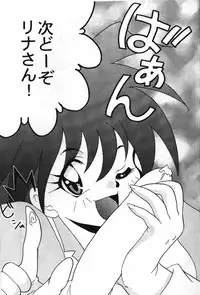 [Ginmomodou (Mita Satomi)] Slayers Adult 8 (Slayers)