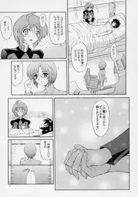 (C70) [GUST (Harukaze Soyogu)] Burning!! 03 (Gundam SEED DESTINY)