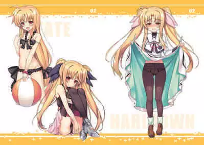 [tonitrus (raiou)] MAGICAL TAXI (Mahou Shoujo Lyrical Nanoha) [Digital]